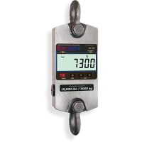Rice Lake Weighing Systems - Measurement Systems International (MSI) 139168